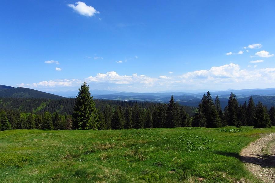 Widok po drodze