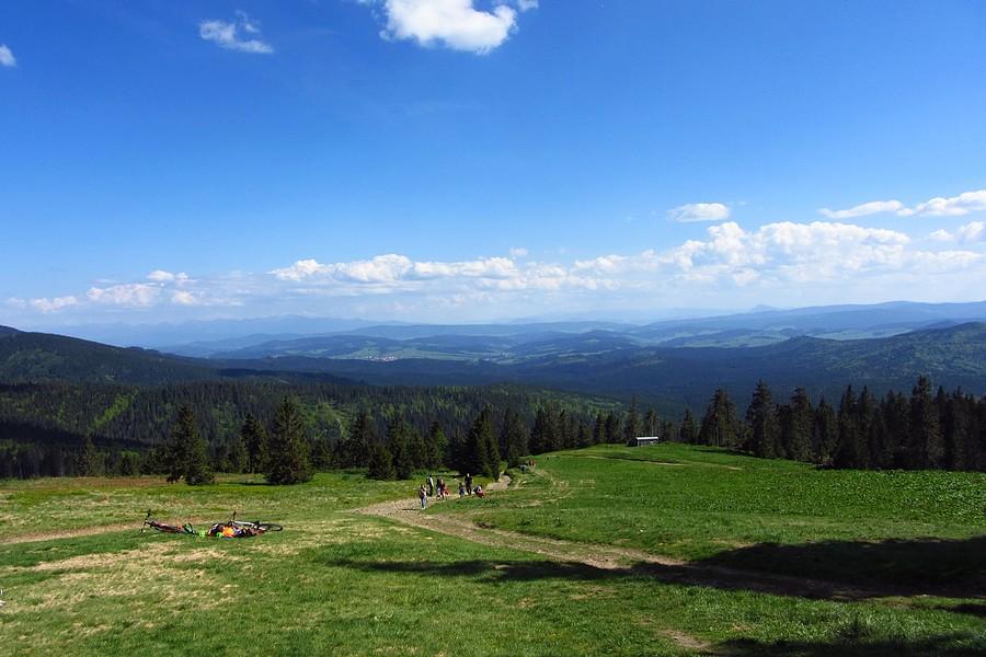 Widoczek