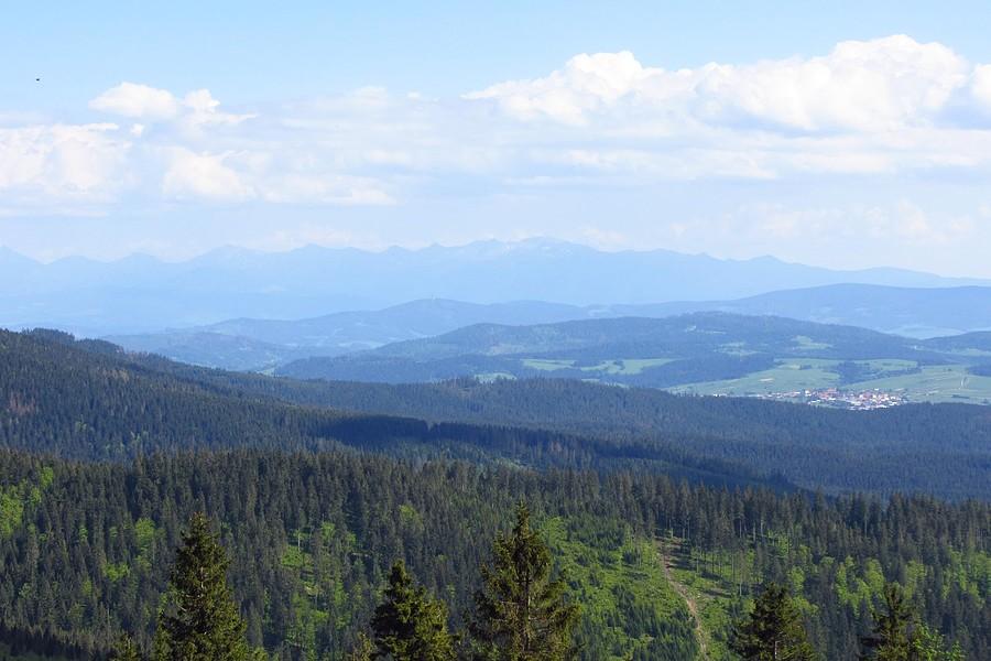 Widoczek 2