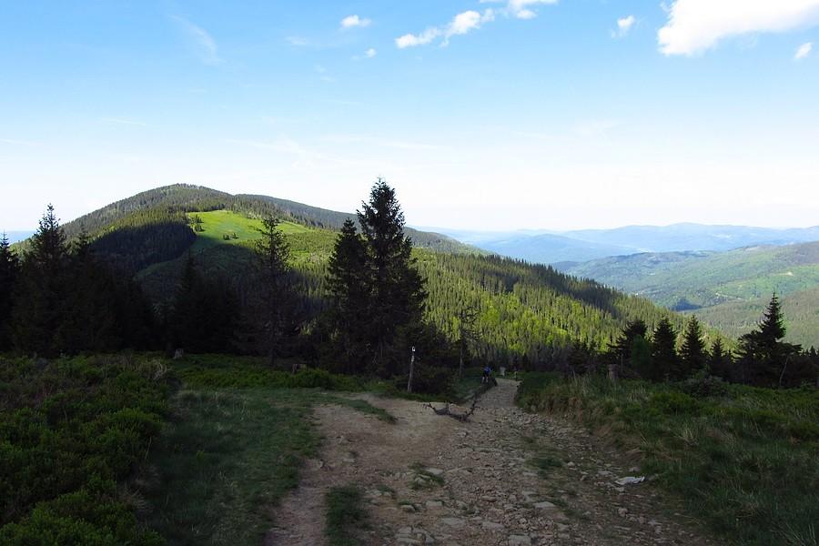 Szlak