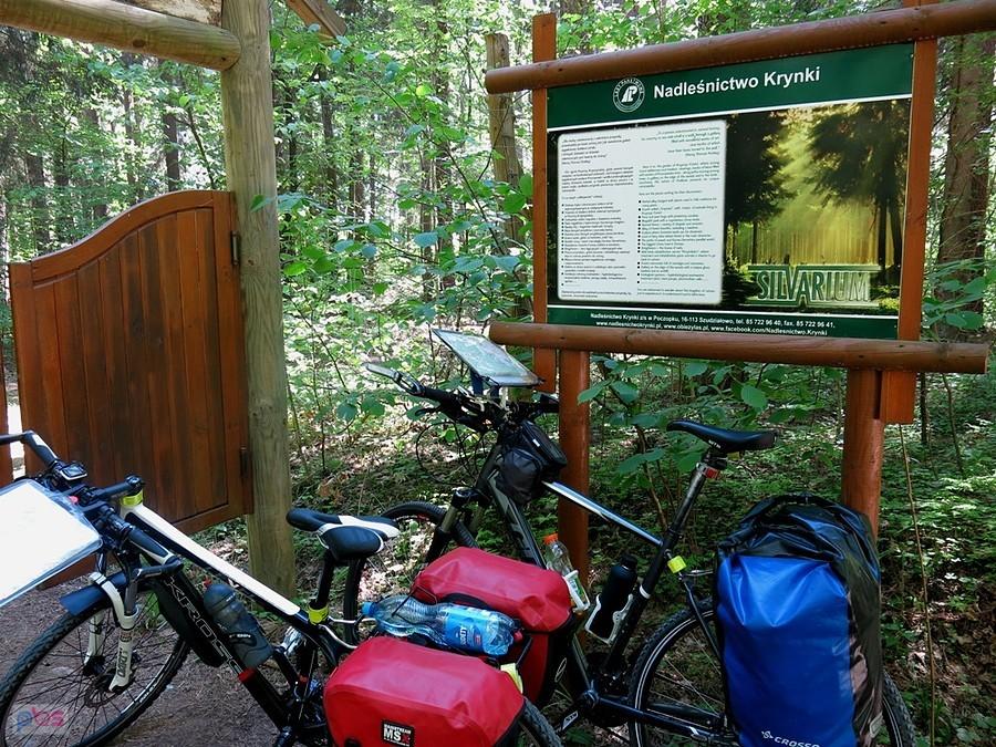 Przed Silvarium, leśnym ogrodzie w Poczopku