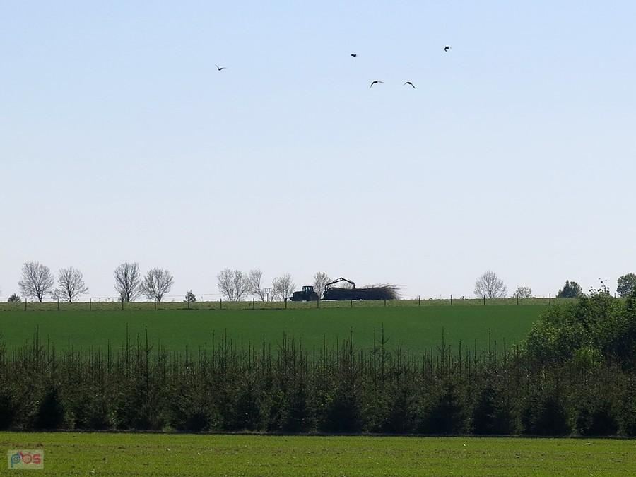 Podlaski krajobraz