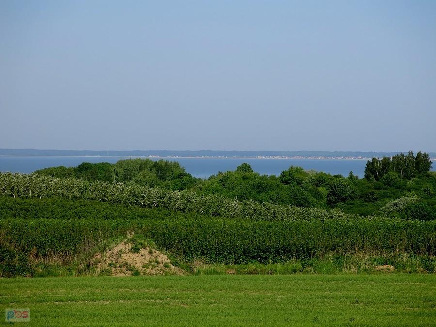 Widok na Mierzeję Wiślaną