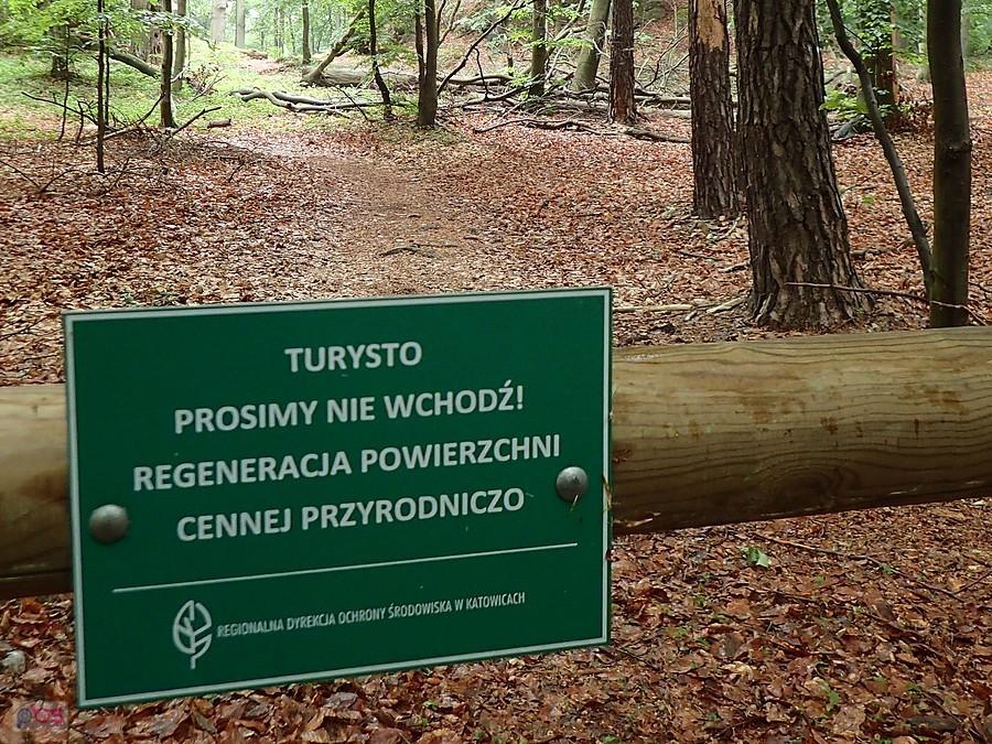Trzeba zawrócić