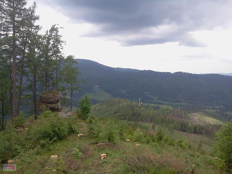 Widoczek