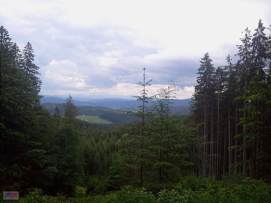 W oddali Mała Fatra