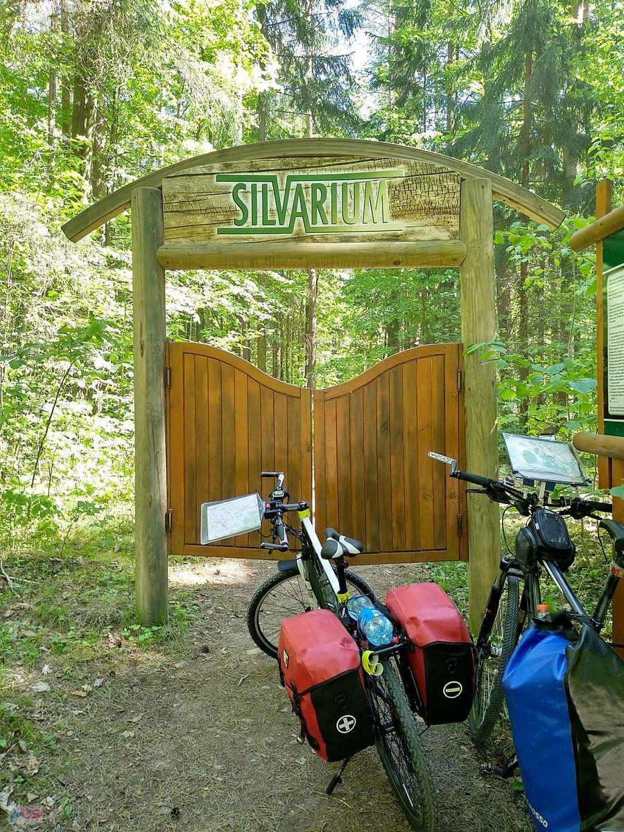 Silvarium - ogród leśny