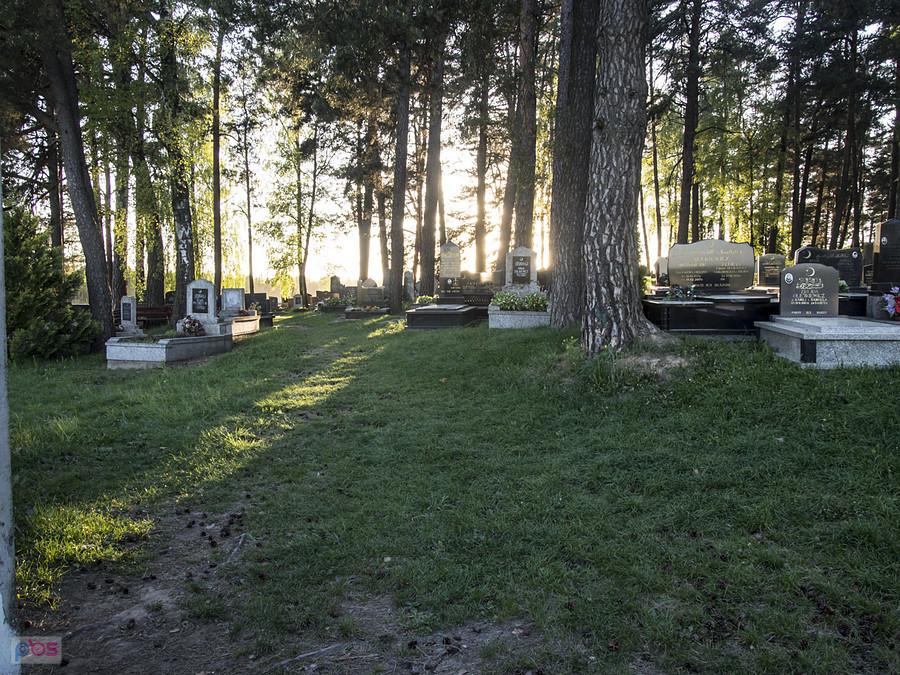 Groby w większości skierowane na wschód
