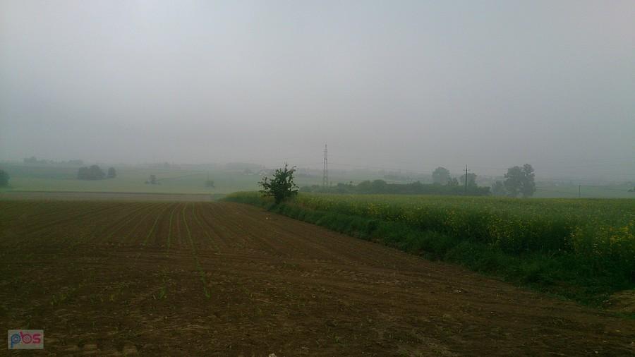 Jak nie wiosna
