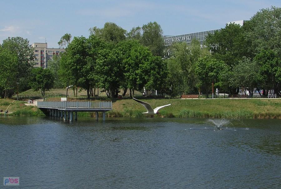 Staw Służewiecki