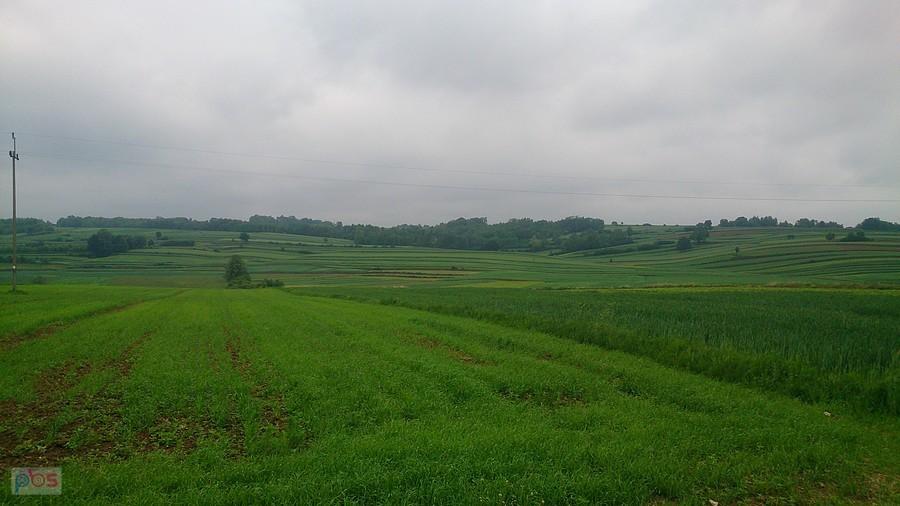 Piękne roztoczańskie klimaty