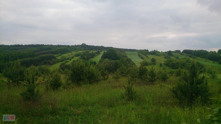Czuje się roztocze