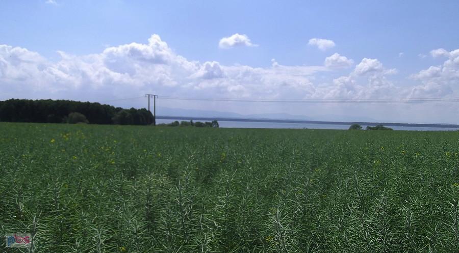 Widoki z okolic miejscowości Łąki