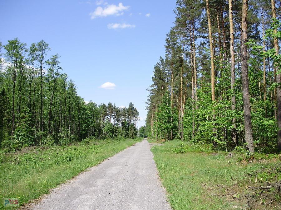 Jak ja lubię takie szlaki rowerowe