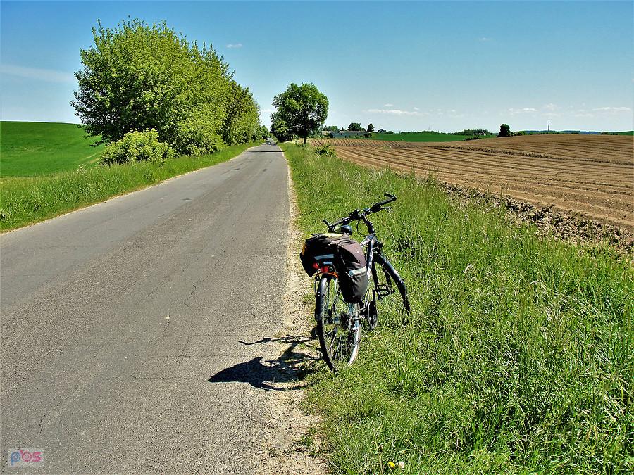Wycieczka rowerowa za miasto - okolice Tczewa.