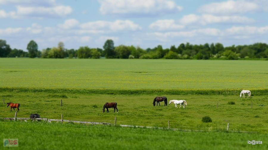 a to był bardzo przyjemny widok, gdzieś w Zabrzu jeśli mnie pamięć nie myli
