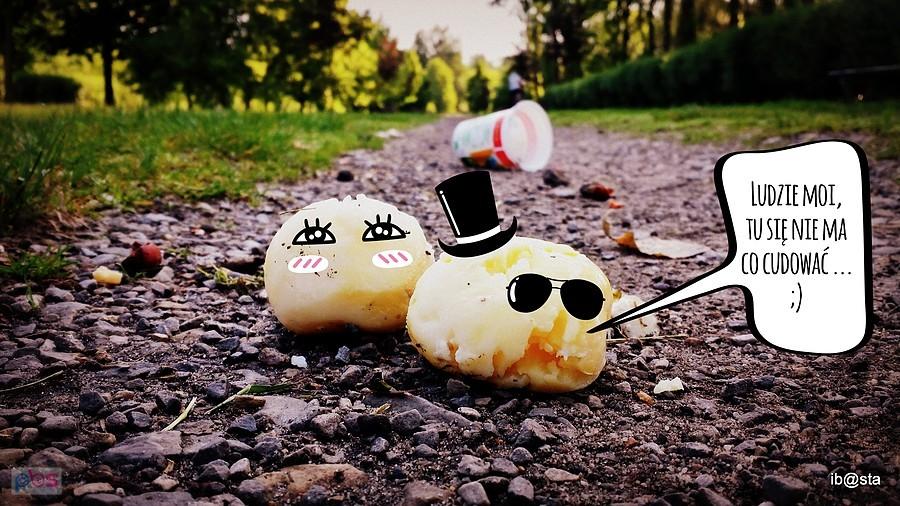 pyzy na polskich dróżkach ;)