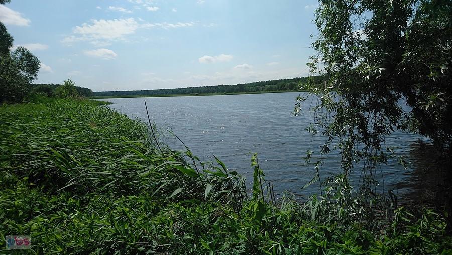 Staw w Żabieńcu z innej strony niż wczoraj