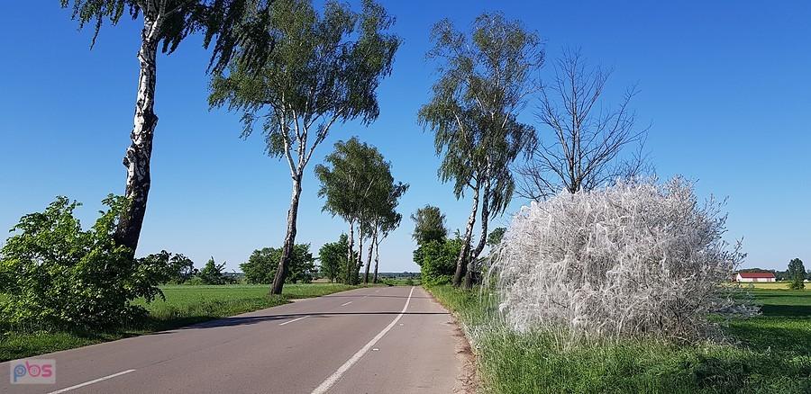 Ktoś coś takiego widział ?