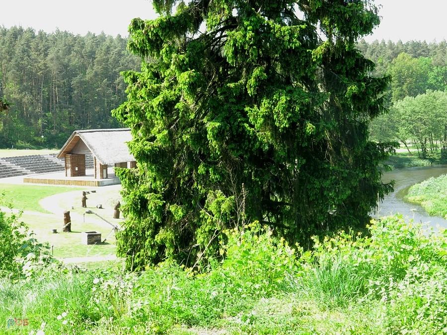 Na terenie Grodziska w Owidzu