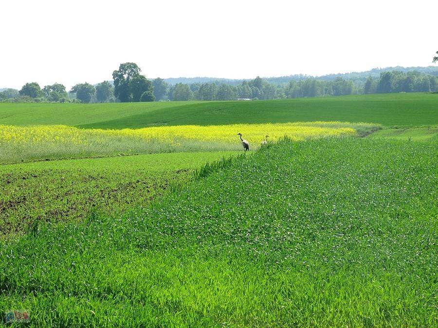 Dokąd podążacie?