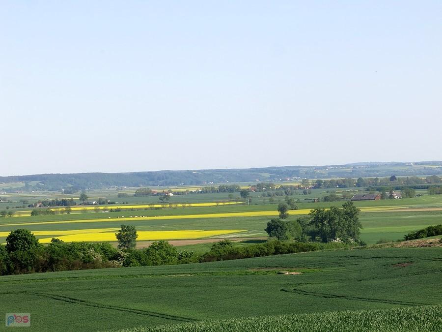 Nadwiślański krajobraz