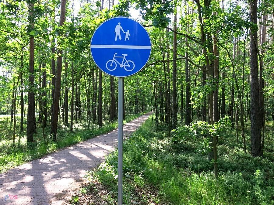 Liczne są tutaj drogi dla rowerów - kopia drogi do Spały :)