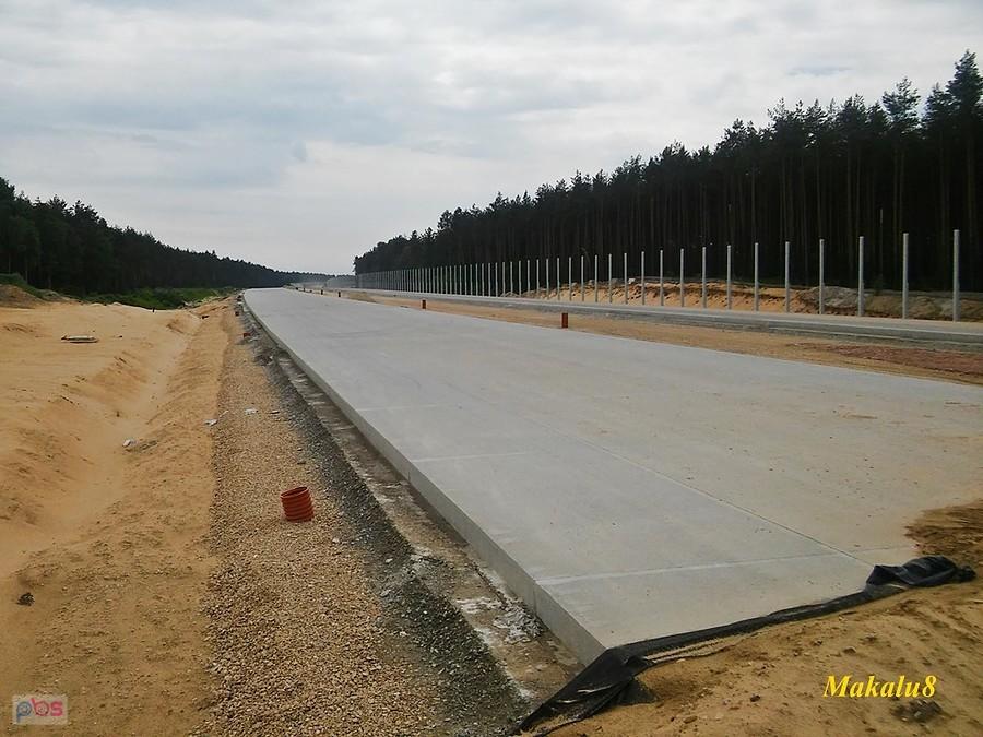 Polski Las_A1 na południe
