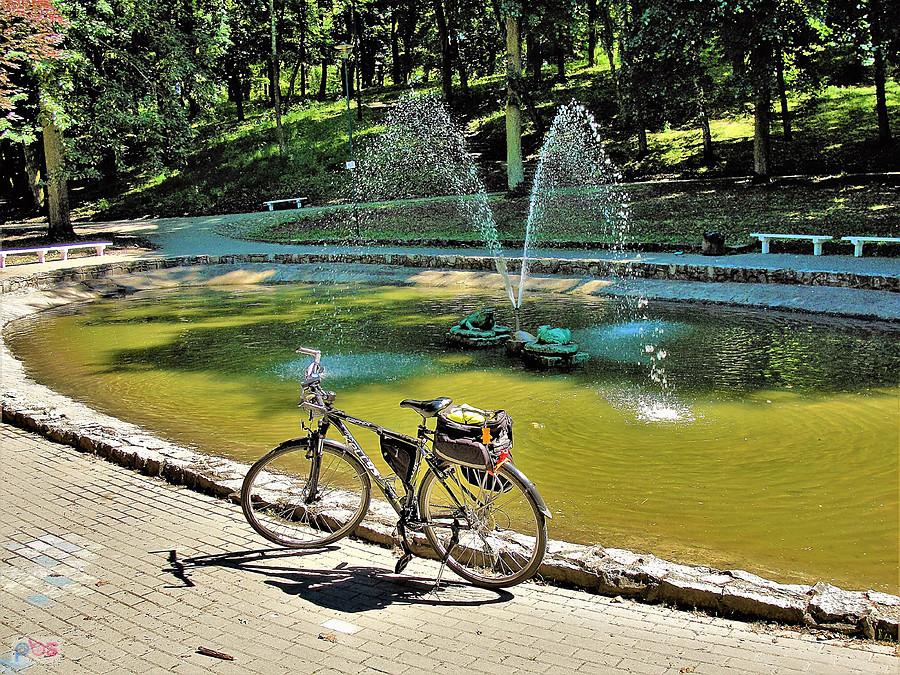 Rowerem po Kociewiu. Tczew - park miejski.