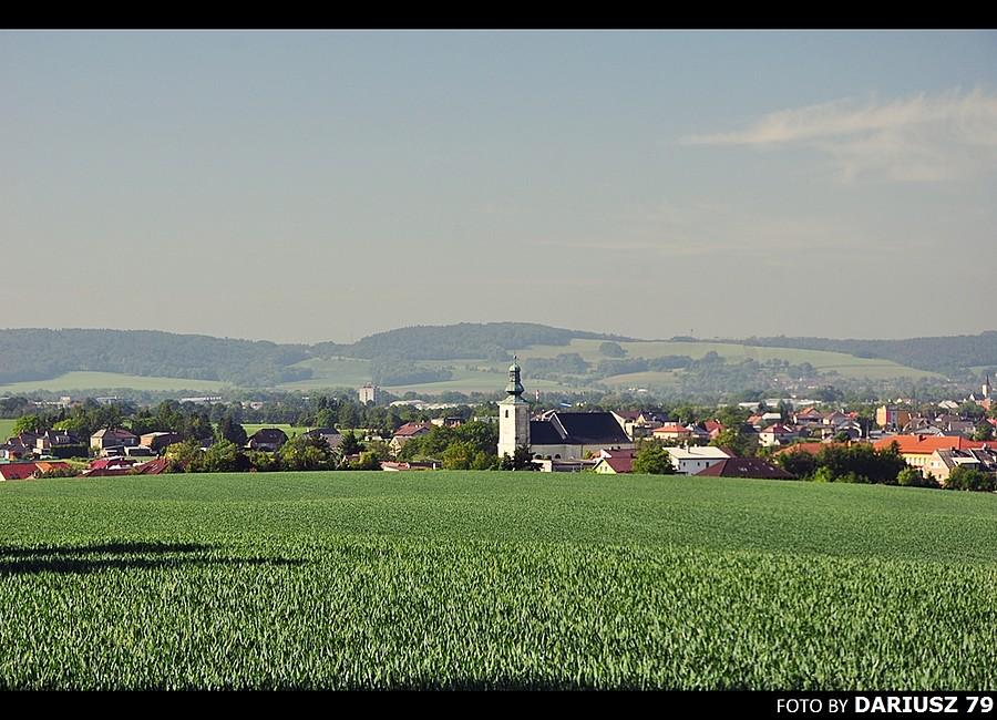 Widok na Bohuslavice