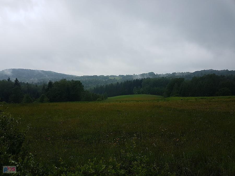 Bardzo fajna droga przed Dynowem