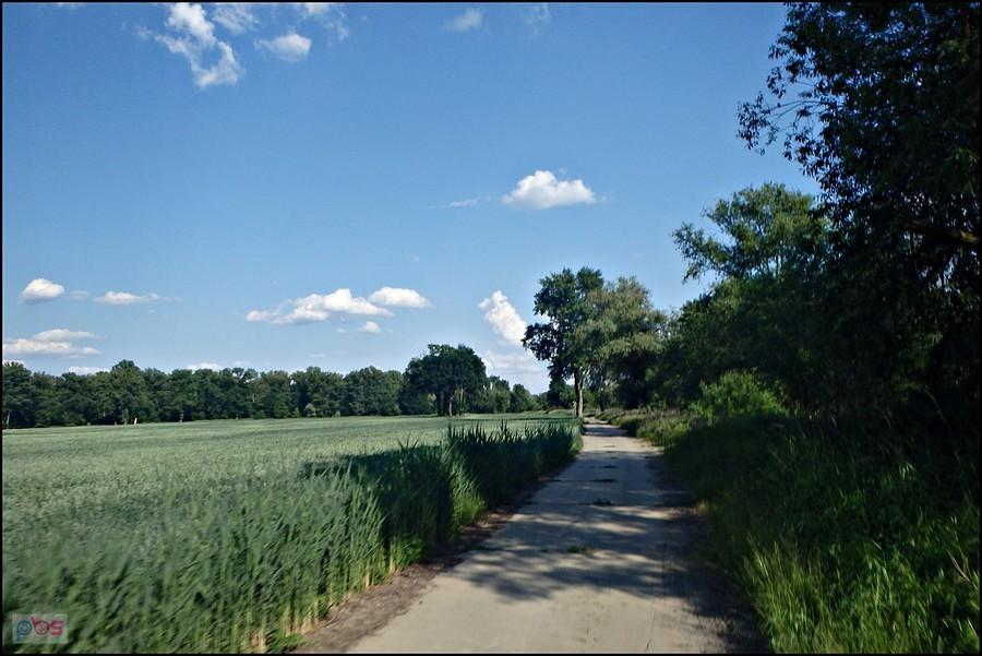 Betonówka za Odrą