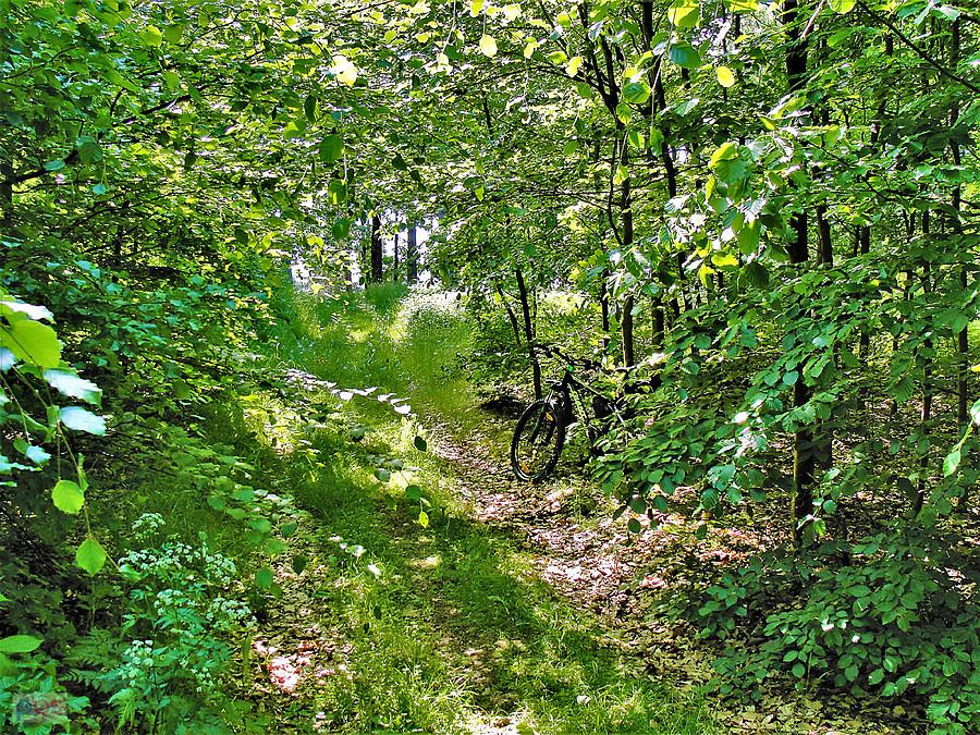 Wycieczka rowerowa - Tczew i jego okolice.