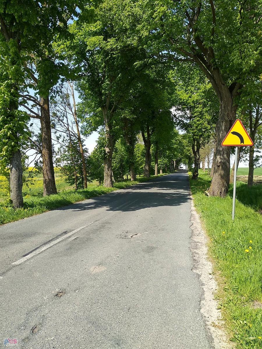 Fajna droga pomiędzy drzewami