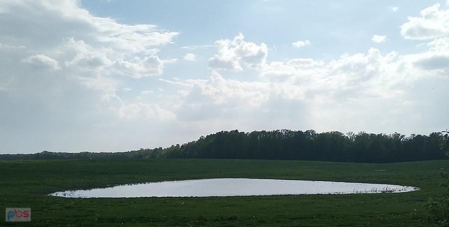 Okoliczne stawiki