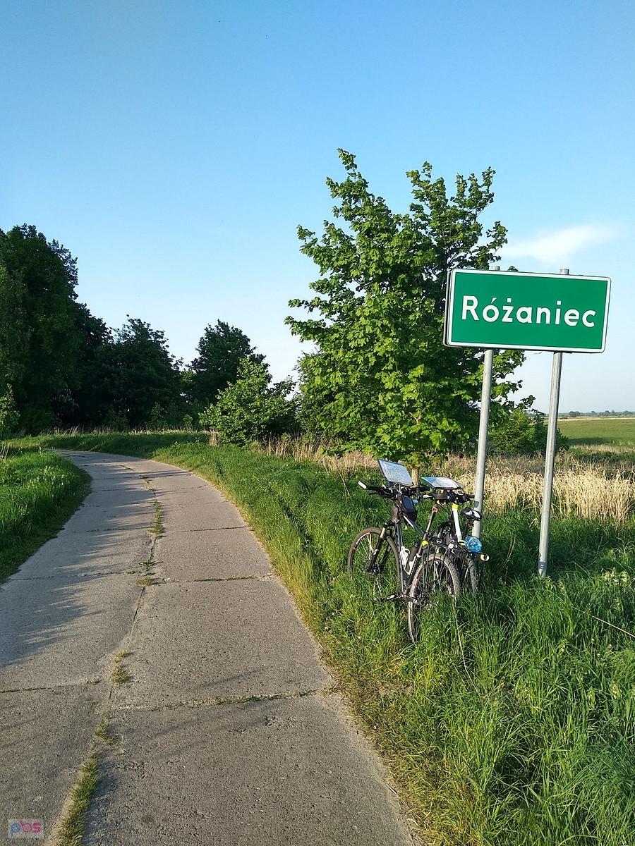 W Różańcu