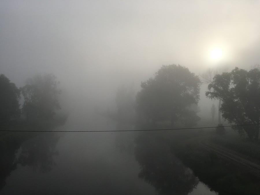 Noteć we mgle