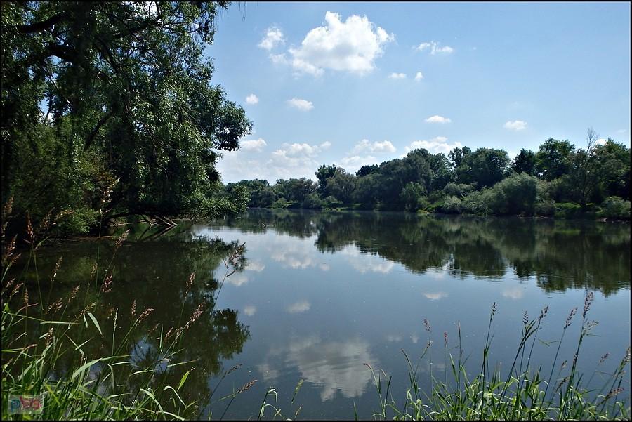 Odpoczynek nad Odrą