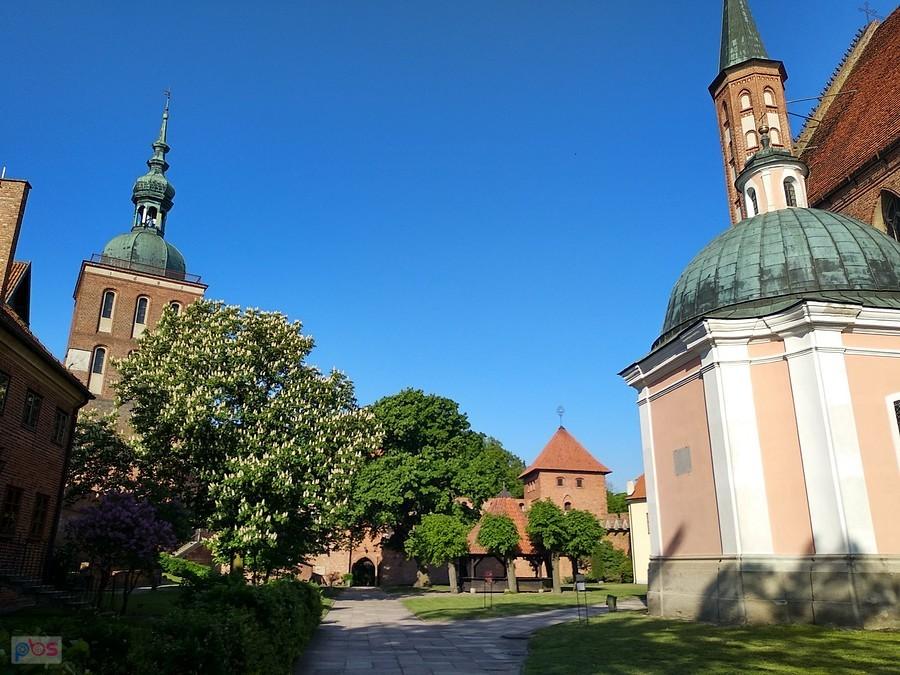 Na wzgórzu Katedralnym