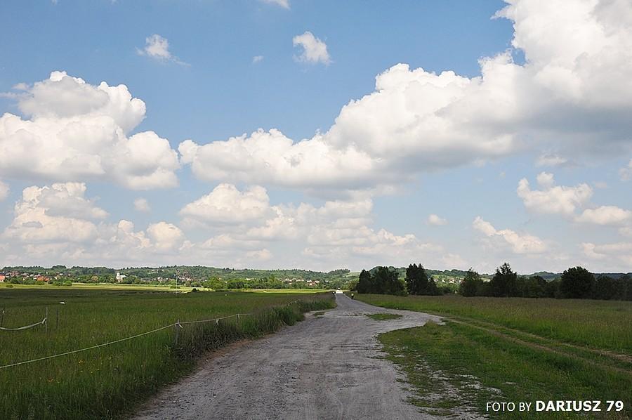 Widok na Niegowonice