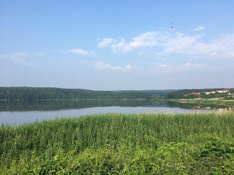 Jezioro Karczewnik w Chodzieży