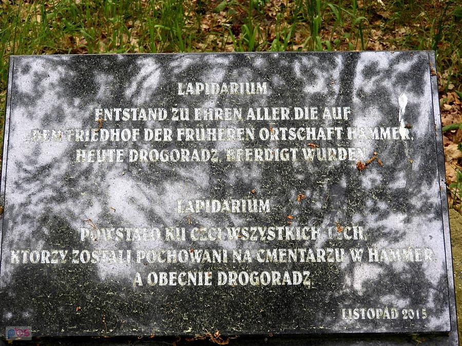 Tablica pamiątkowa w lapidarium w Drogoradzu.
