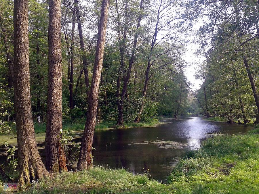 Zespół Przyrodniczo - Krajobrazowy, Uniejów