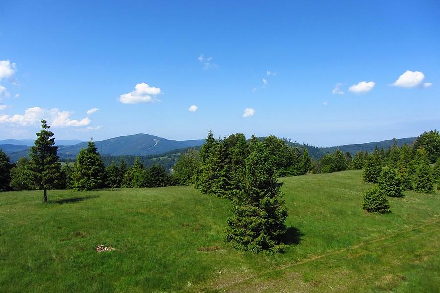 Widoczek