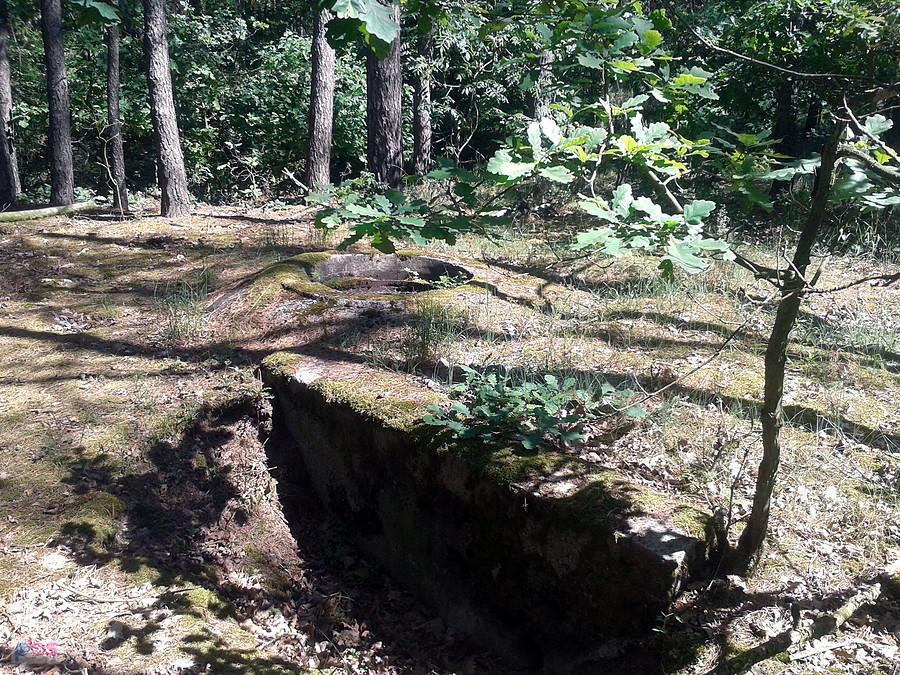 Schron bojowy, Spicimierz Kolonia