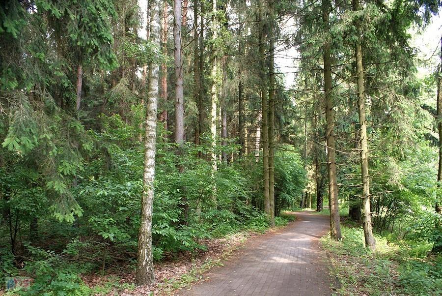DDR-ka na odcinku Tomaszów - Spała