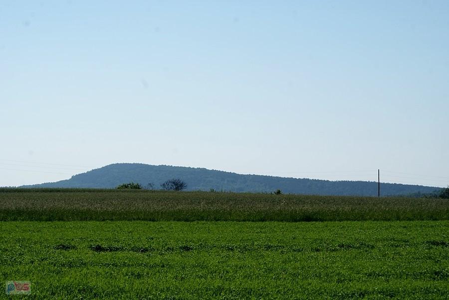 Fajna Ryba - 347 m npm