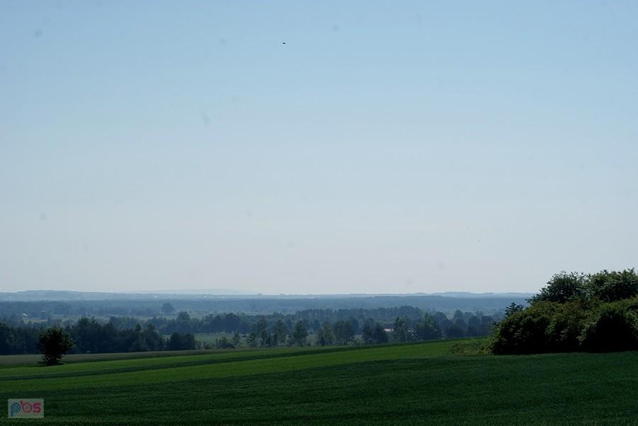 Góry Przedborskie