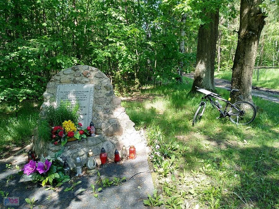 Pomnik w okolicach Kaliska