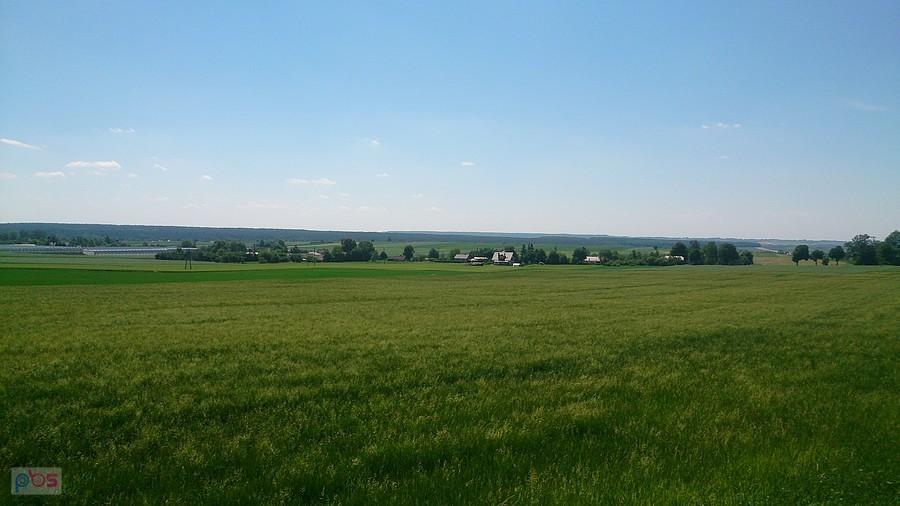 Widoki za Krasnymstawem